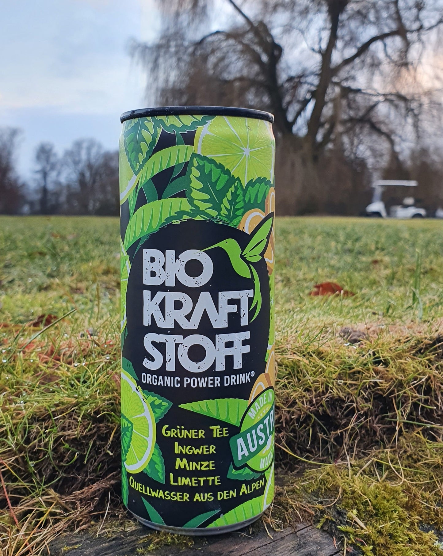 Bio Energy Drink Biokraftstoff 6 Dosen