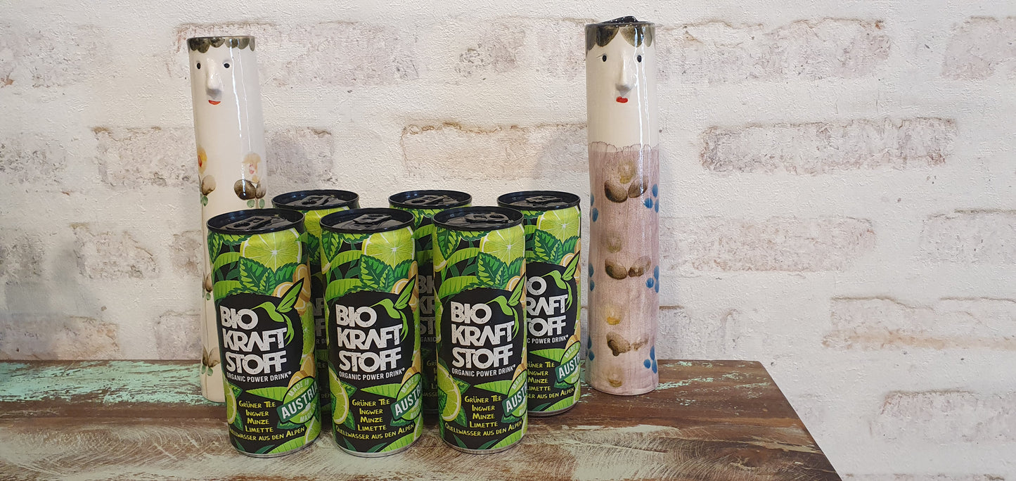 Bio Energy Drink Biokraftstoff 6 Dosen